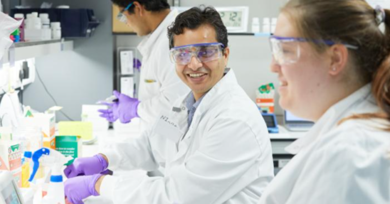 How to Safely Perform an Asbestos Test to Identify Hazardous Materials