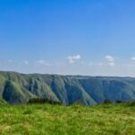 Meghalaya NEET MDS Counselling